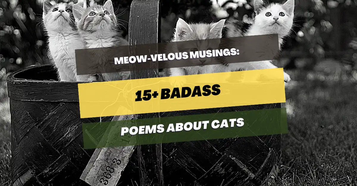poems-about-cats