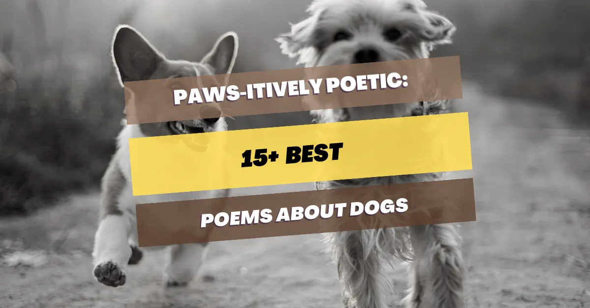15 Great Poems About Dogs