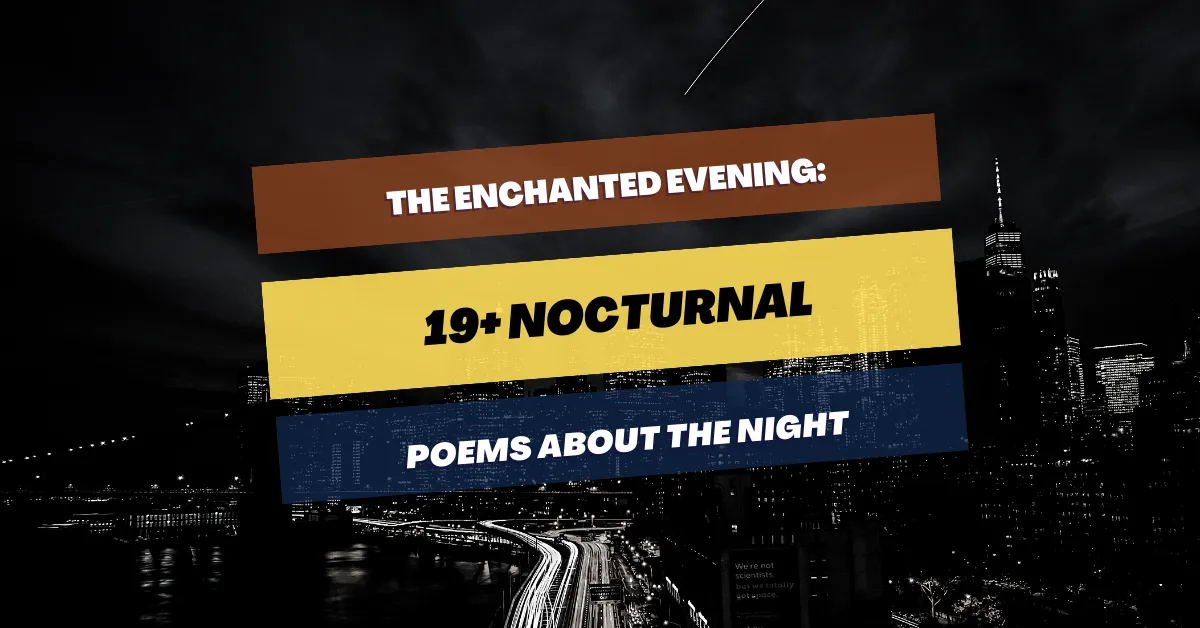 poems-about-the-night