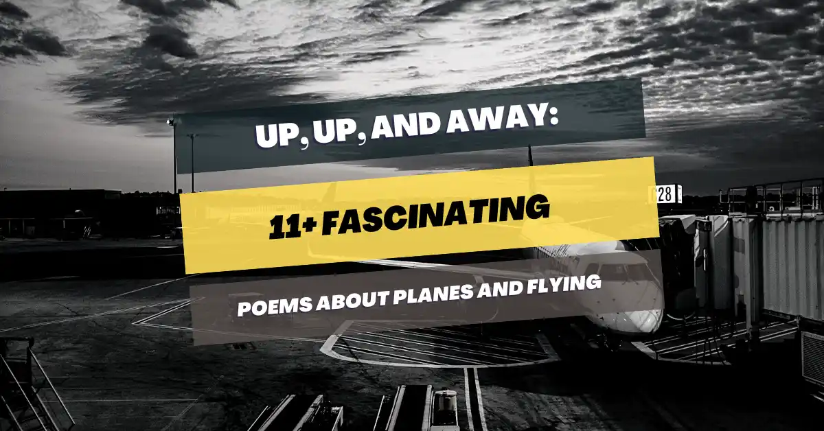 poems-about-planes-and-flying