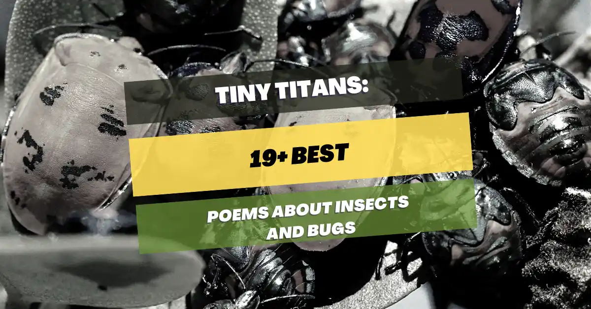 poems-about-insects-and-bugs