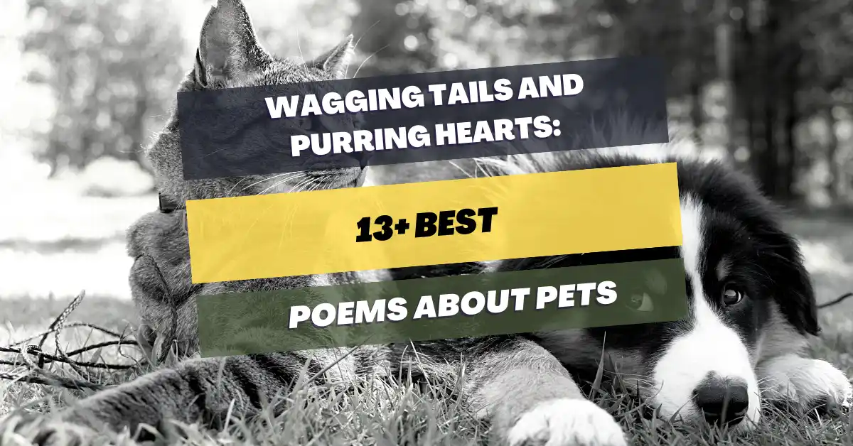 poems-about-pets