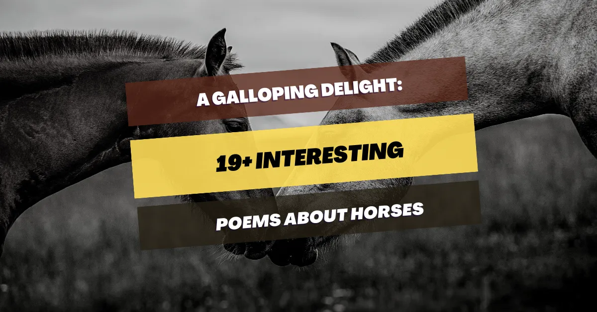 poems-about-horses