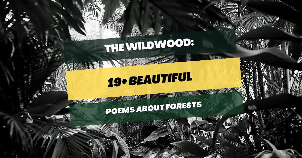 poems-about-forests