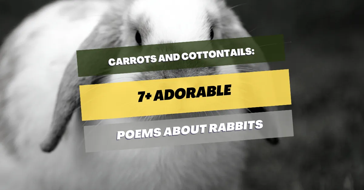 poems-about-rabbits