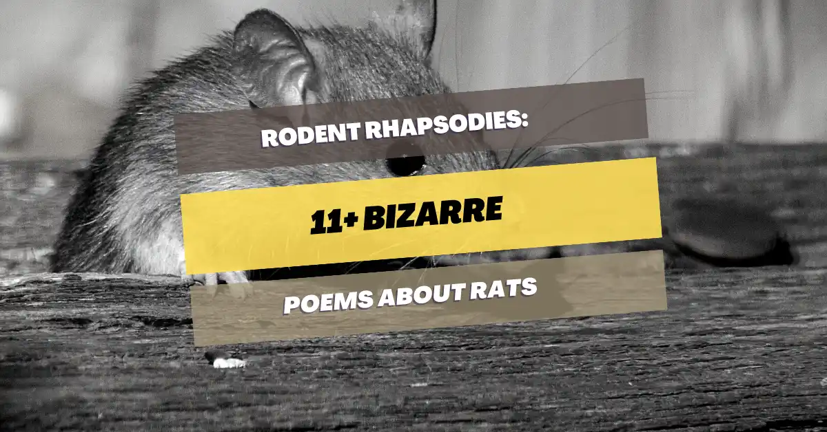 poems-about-rats