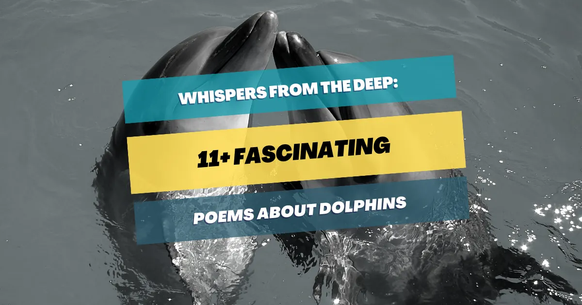 poems-about-dolphins