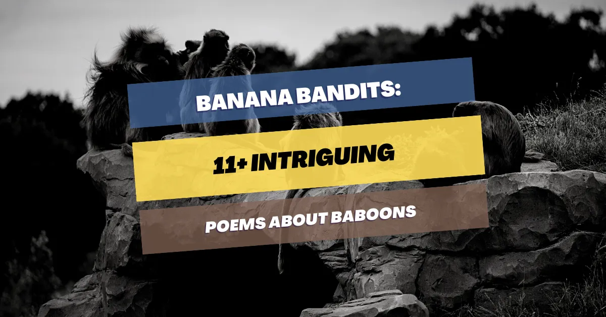 poems-about-baboons