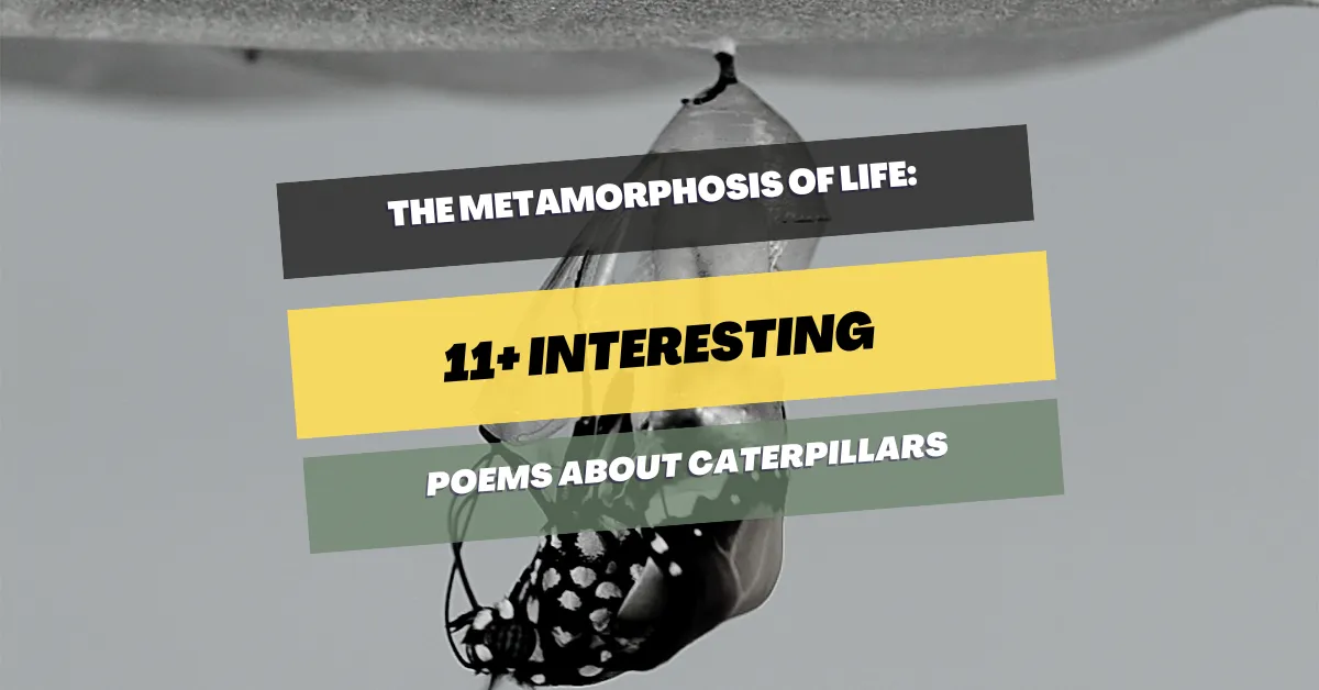 poems about caterpillars