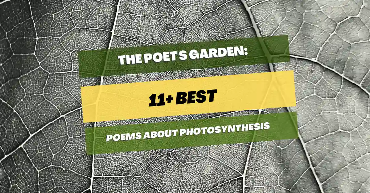 poems-about-photosynthesis