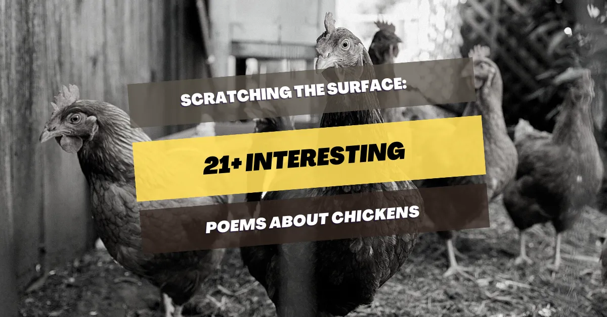 poems-about-chickens