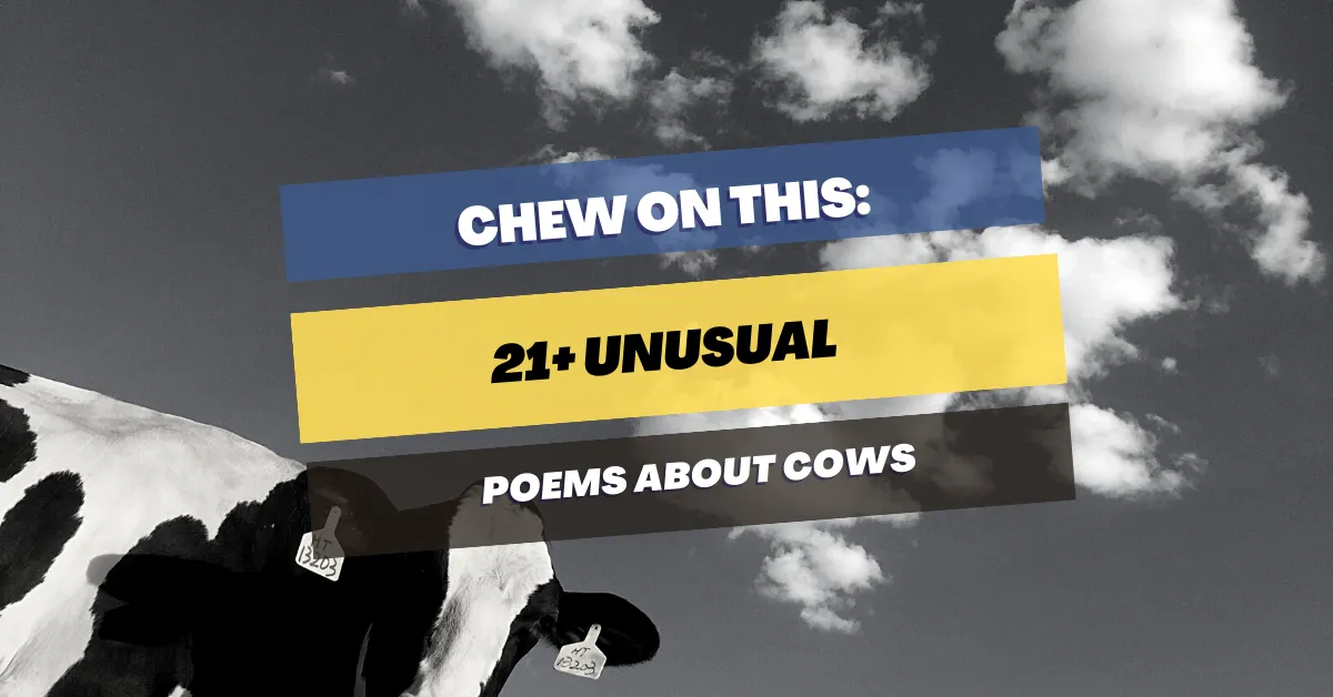 poems about cows