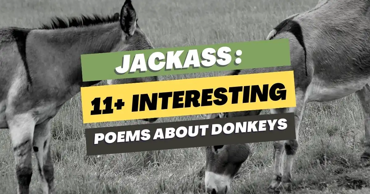 poems about Donkeys