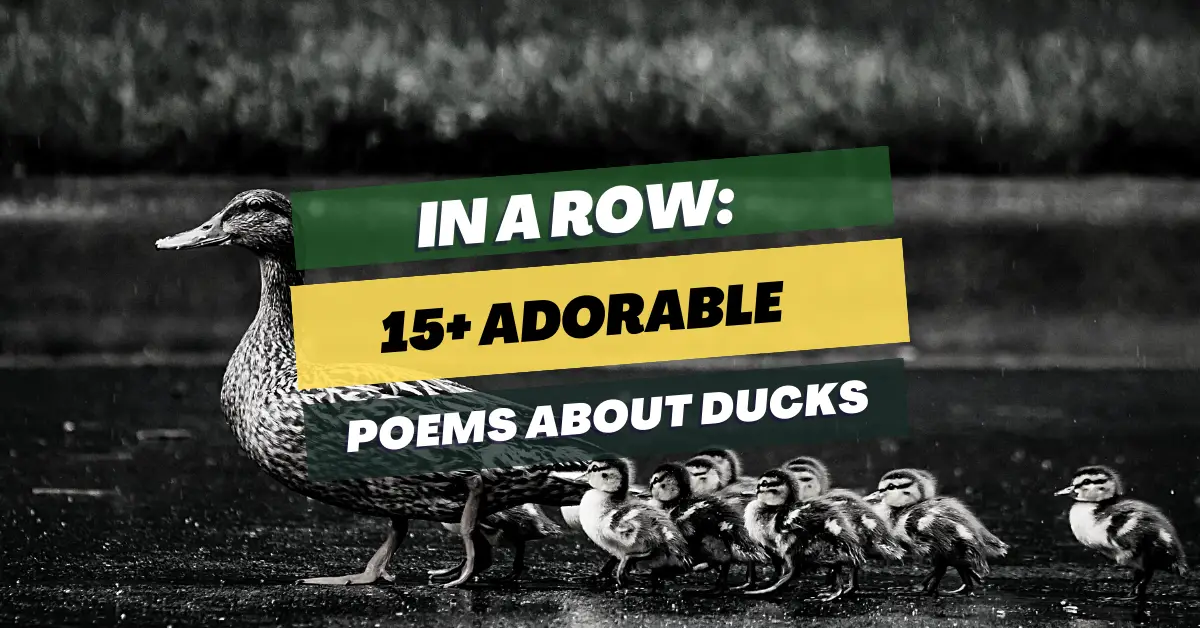 poems-about-ducks