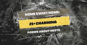 poems-about-Nests