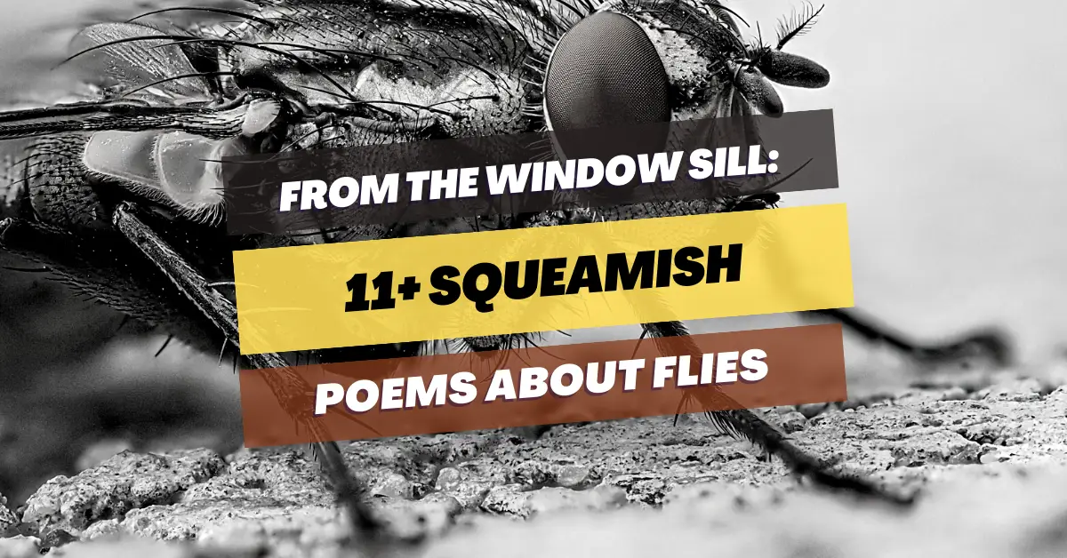 poems-about-flies
