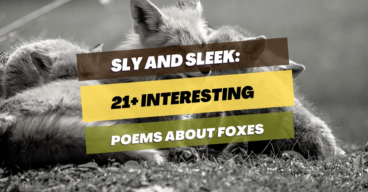 poems-about-foxes
