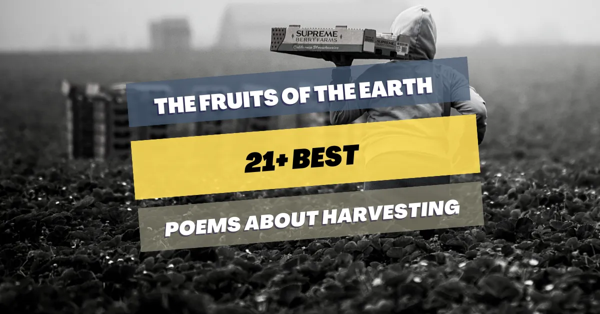 poems-about-harvesting
