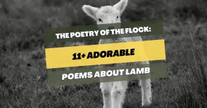 poems-about-lamb