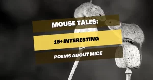 poems-about-mice