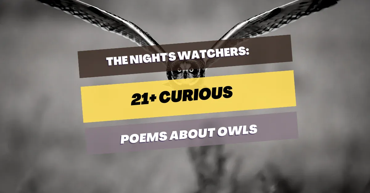 poems-about-owls