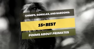 poems-about-primates