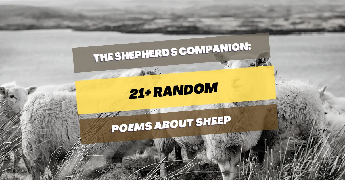 poems-about-sheep