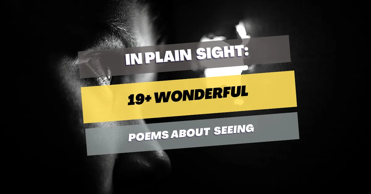 poems-about-sight-and-seeing