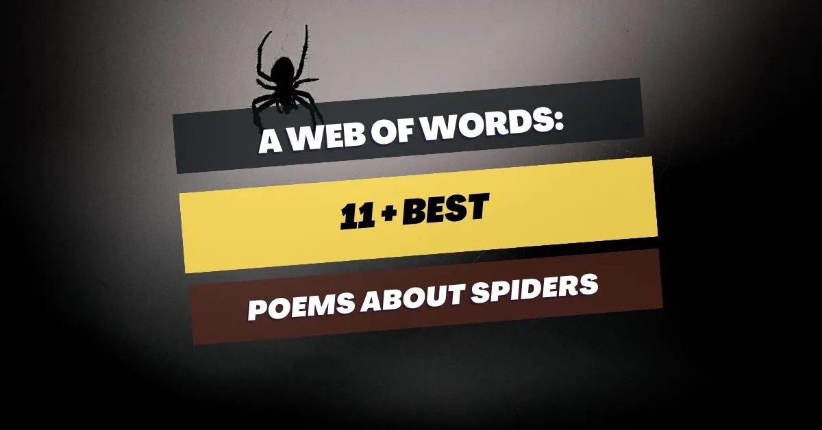 Poems-About-Spiders