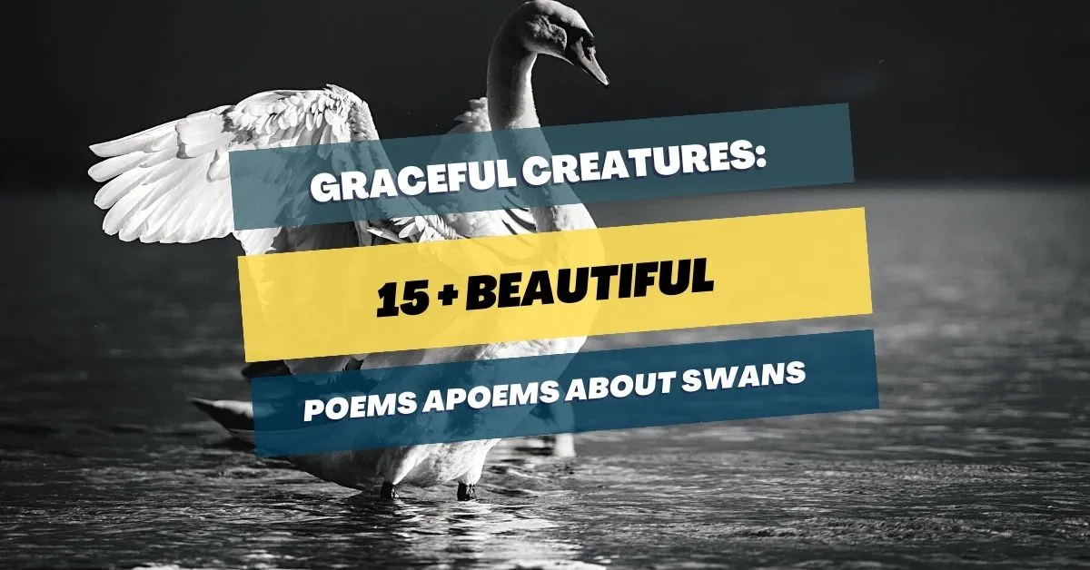 Poems-About-Swans