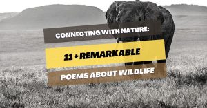 Poems-About-Wildlife
